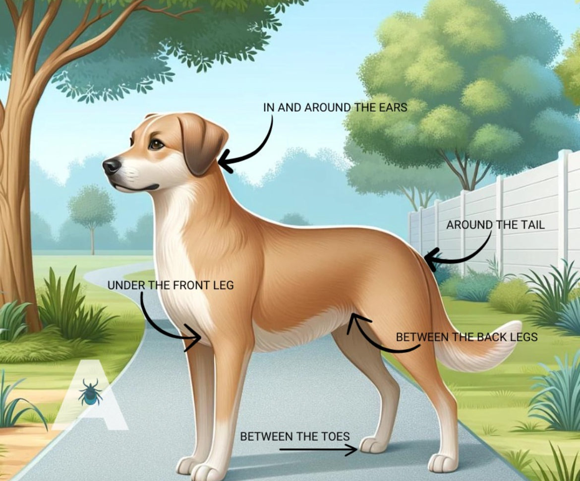 Tick Attack™ Botanical Insect Repellent 60ml - Natural Outdoor Spray