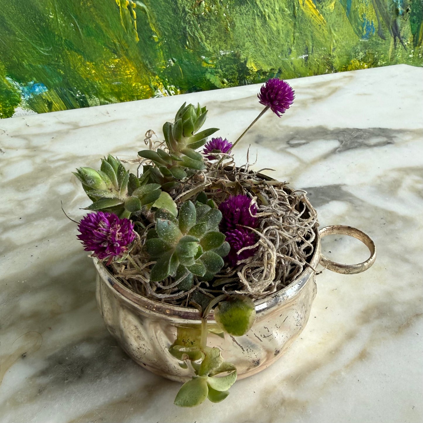 Succulent
