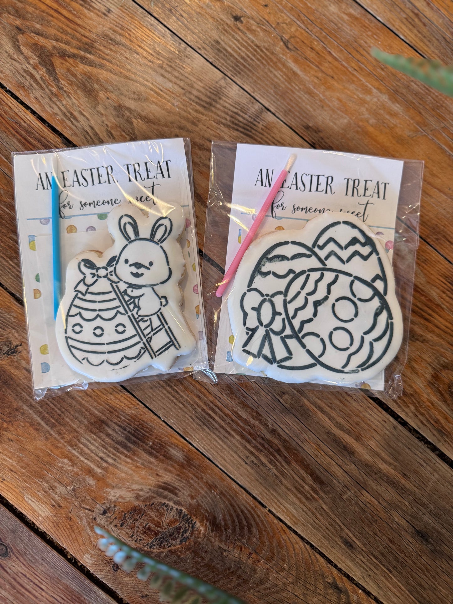 Paint Your Own Easter Cookie