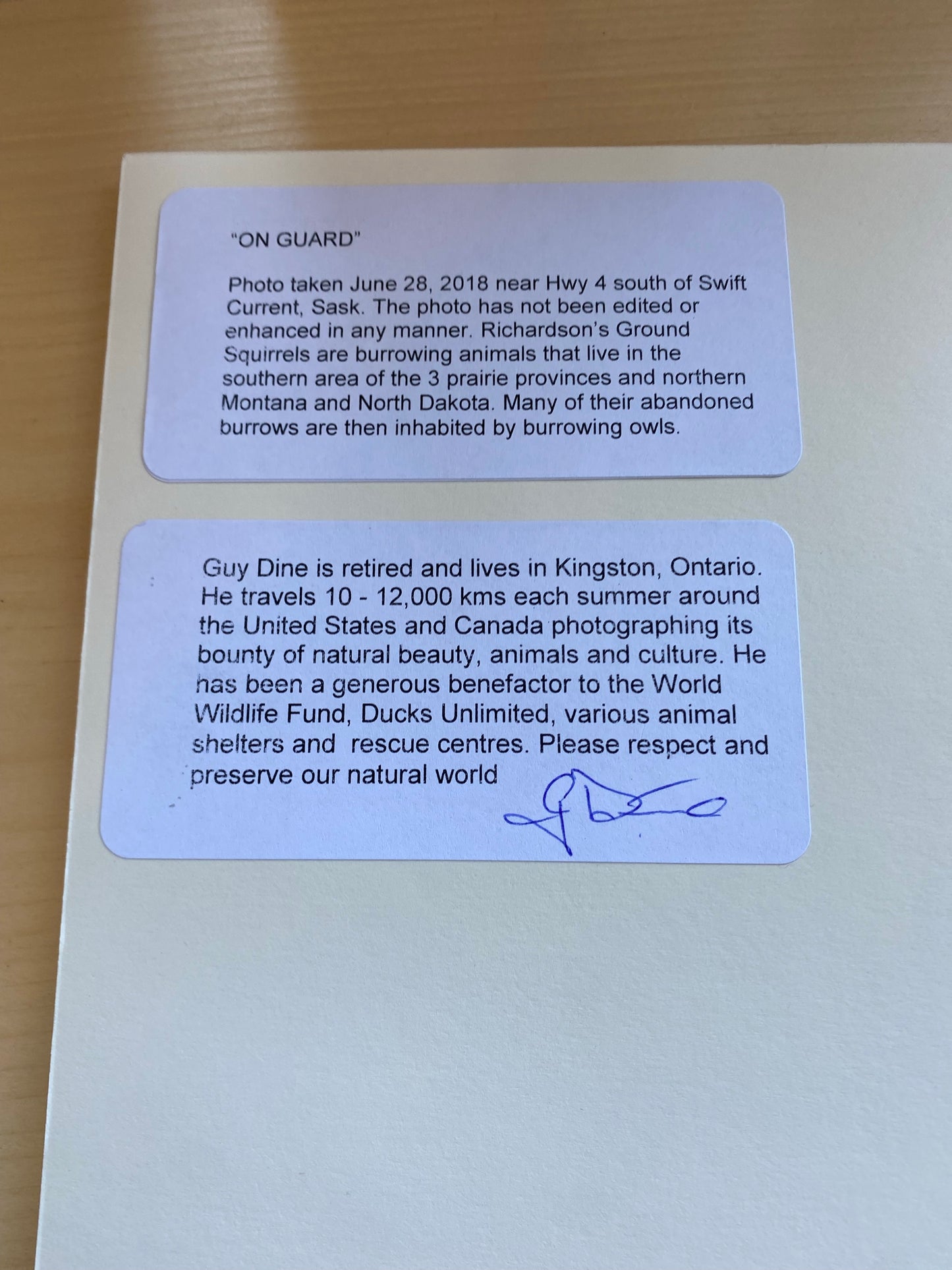 On Guard - 10” x 8”