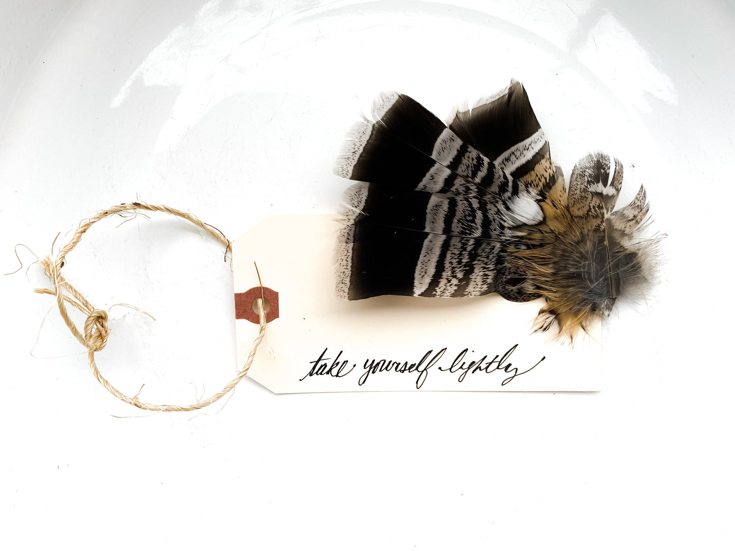 Feather Hair Pin and Inspirational Gift Tag