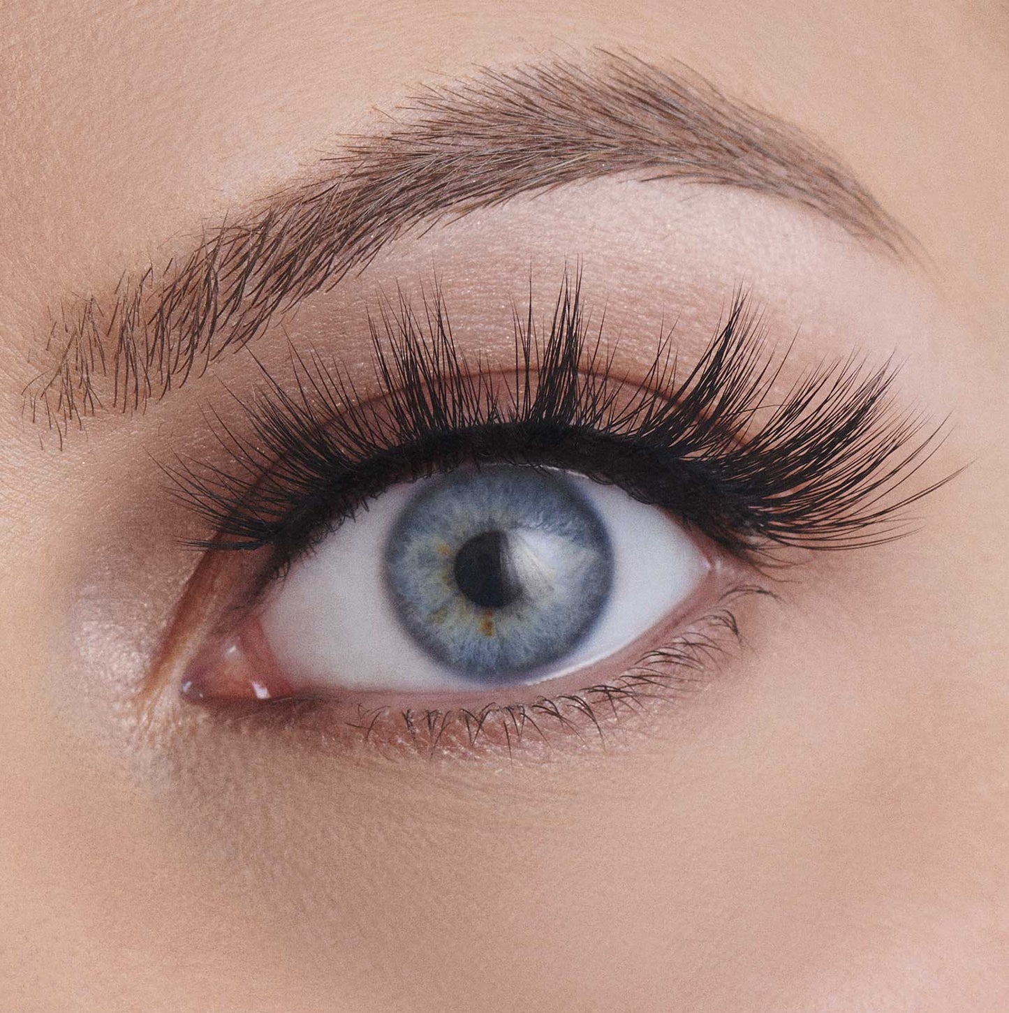 VEGAN SILK LASHES – KITTY POWER