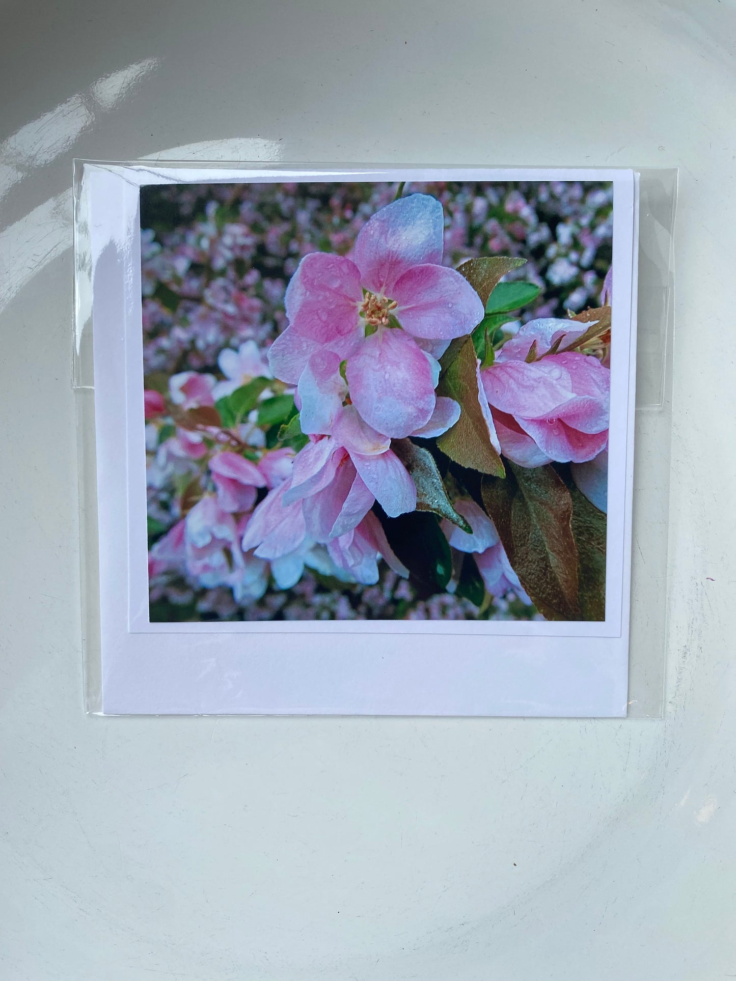4x4 Cards