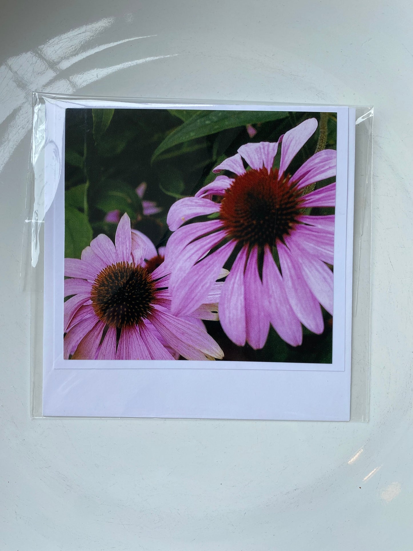 4x4 Cards