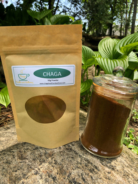 CHAGA POWDER 50g