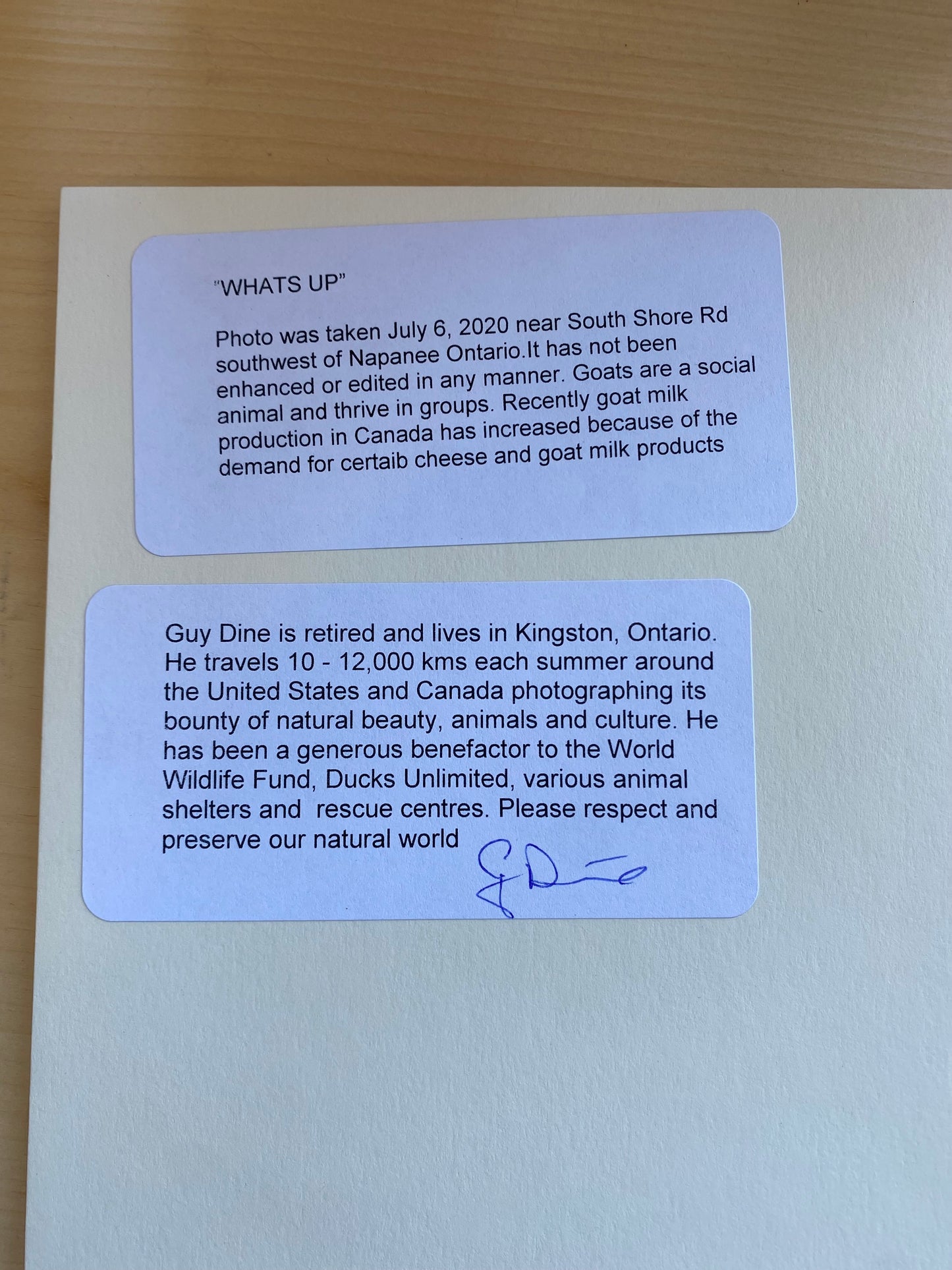 Whats Up - 10” x 8”