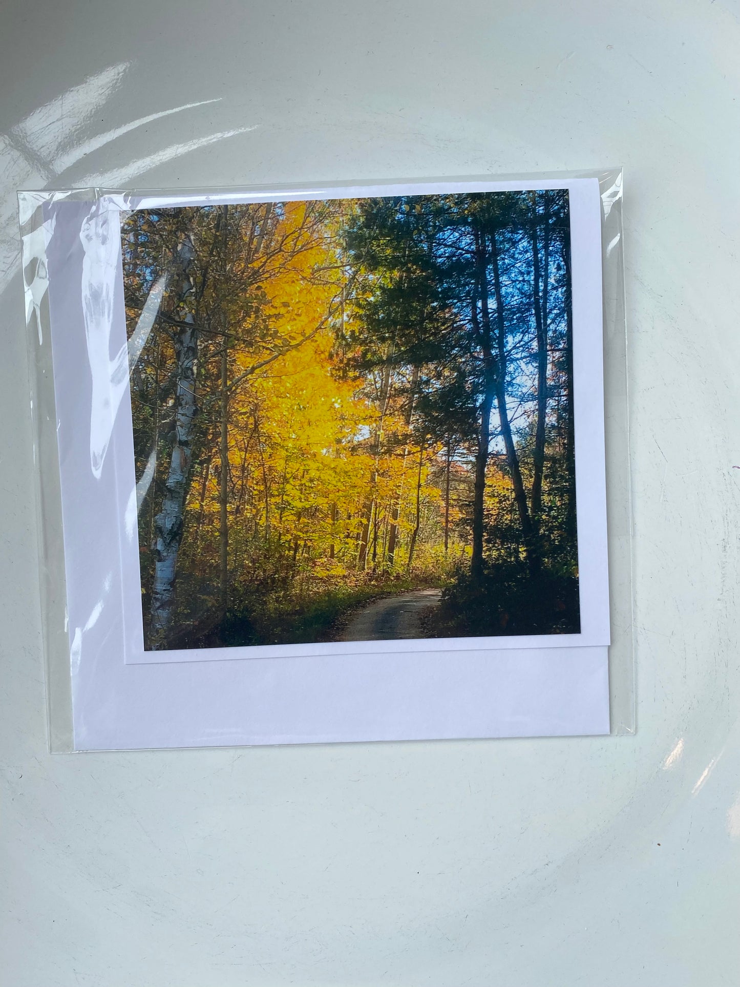 4x4 Cards