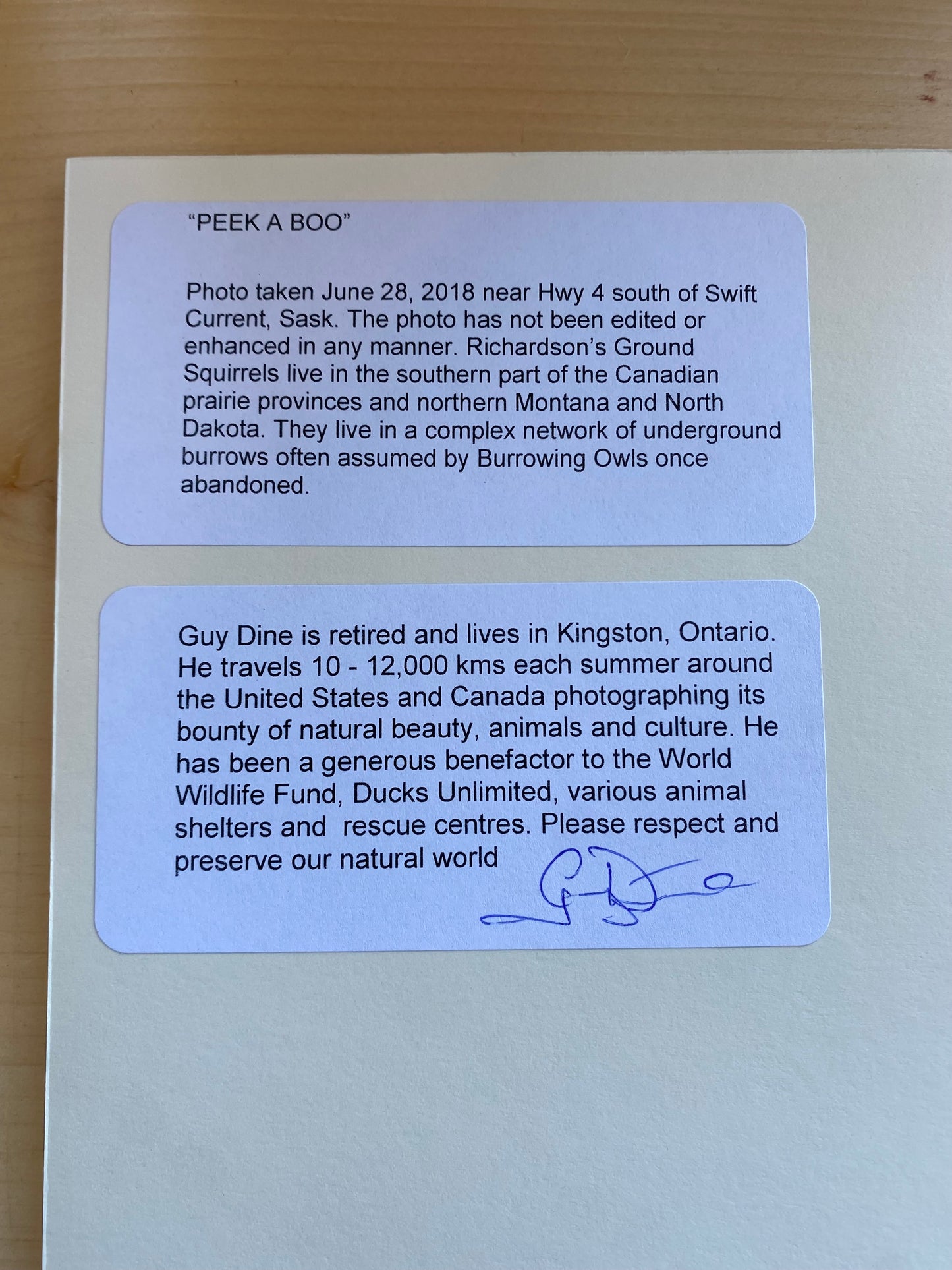 Peek a Boo - 10” x 8”