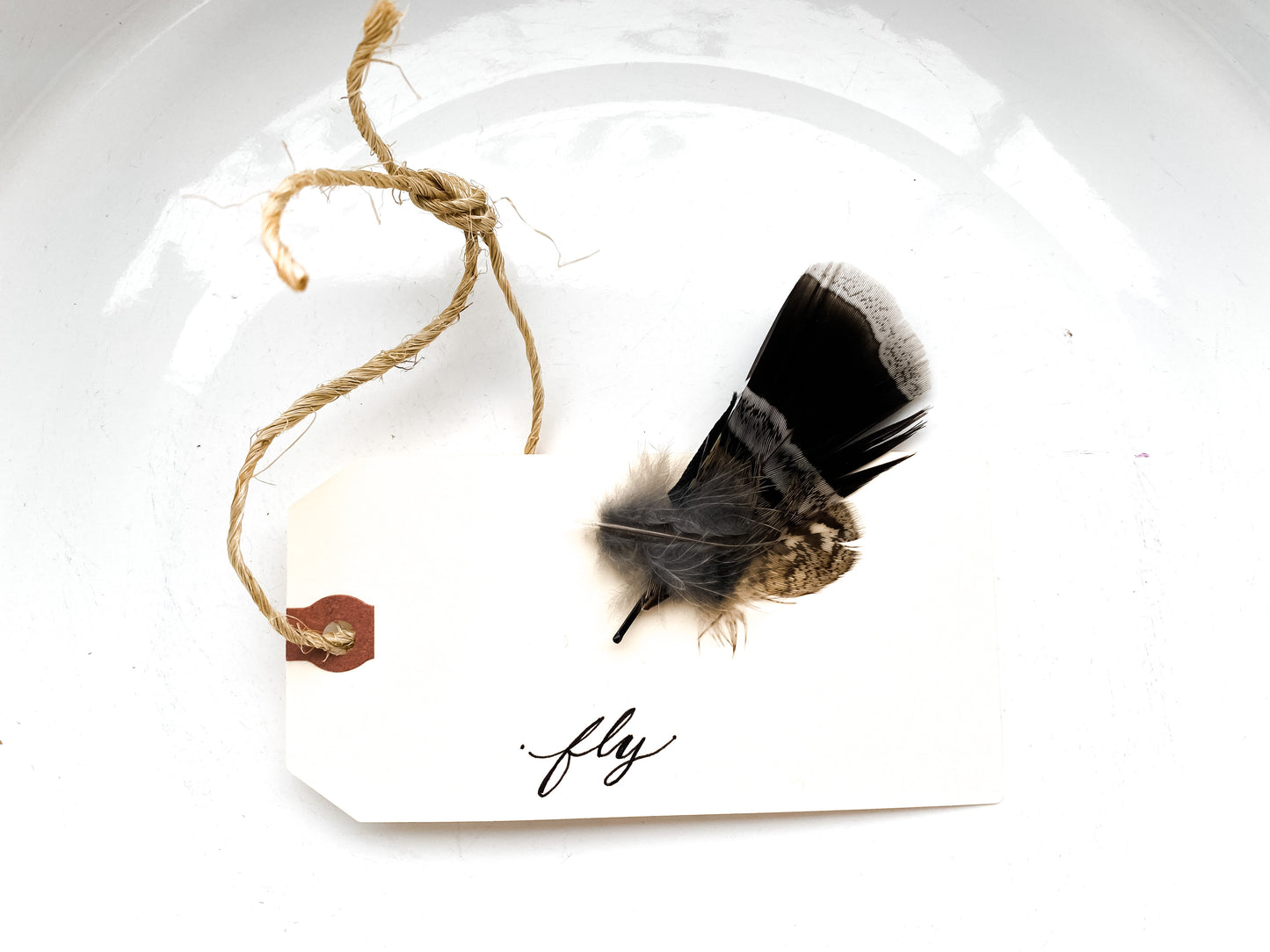 Feather Hair Pin and Inspirational Gift Tag