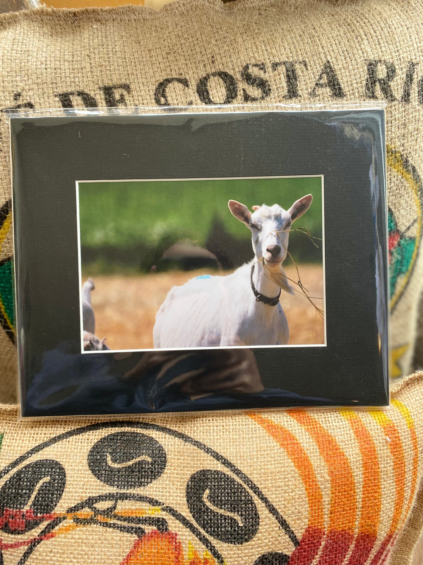 Messy Eater - 10” x 8”