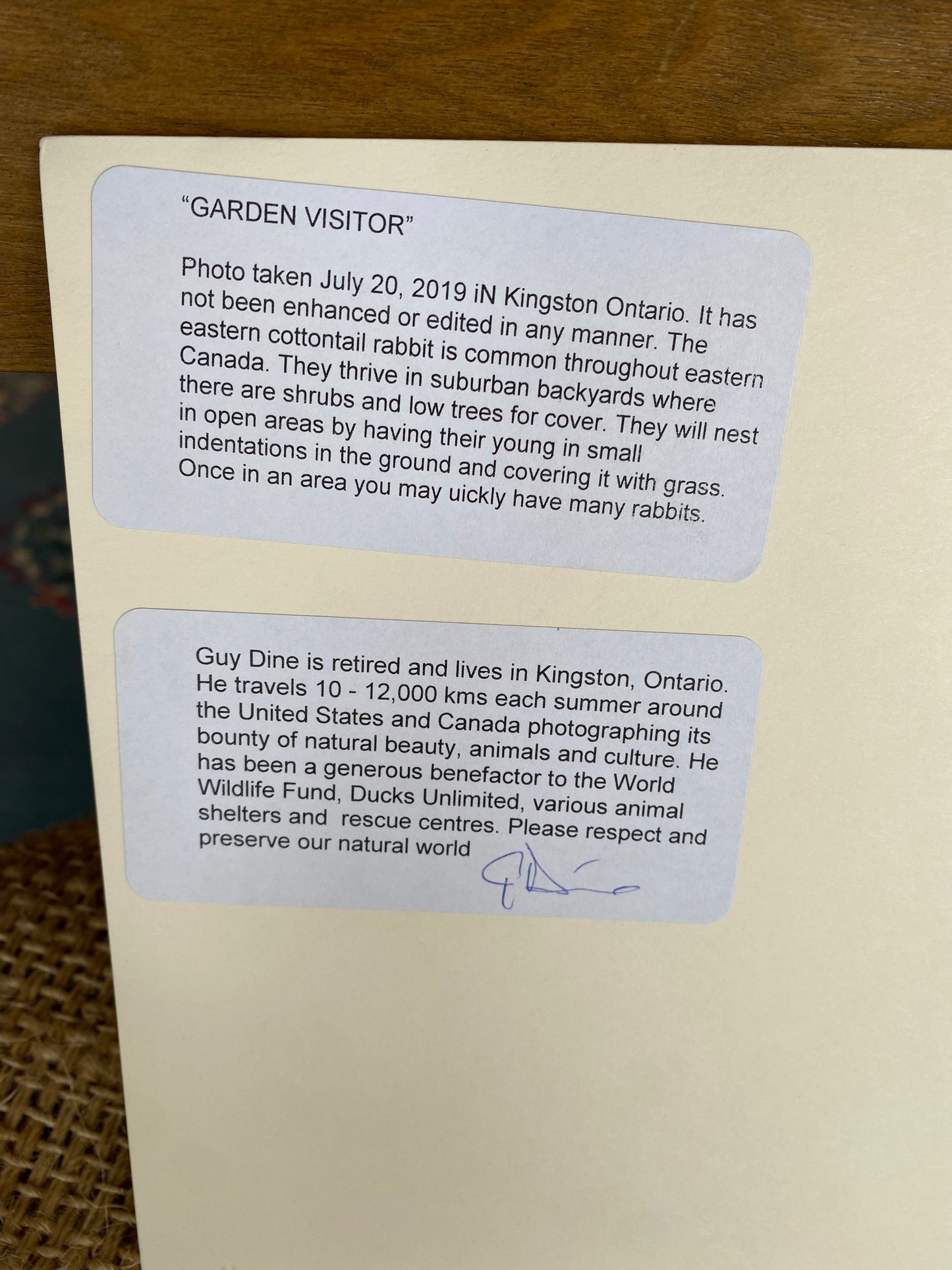 Garden Visitor - 10” x 8”