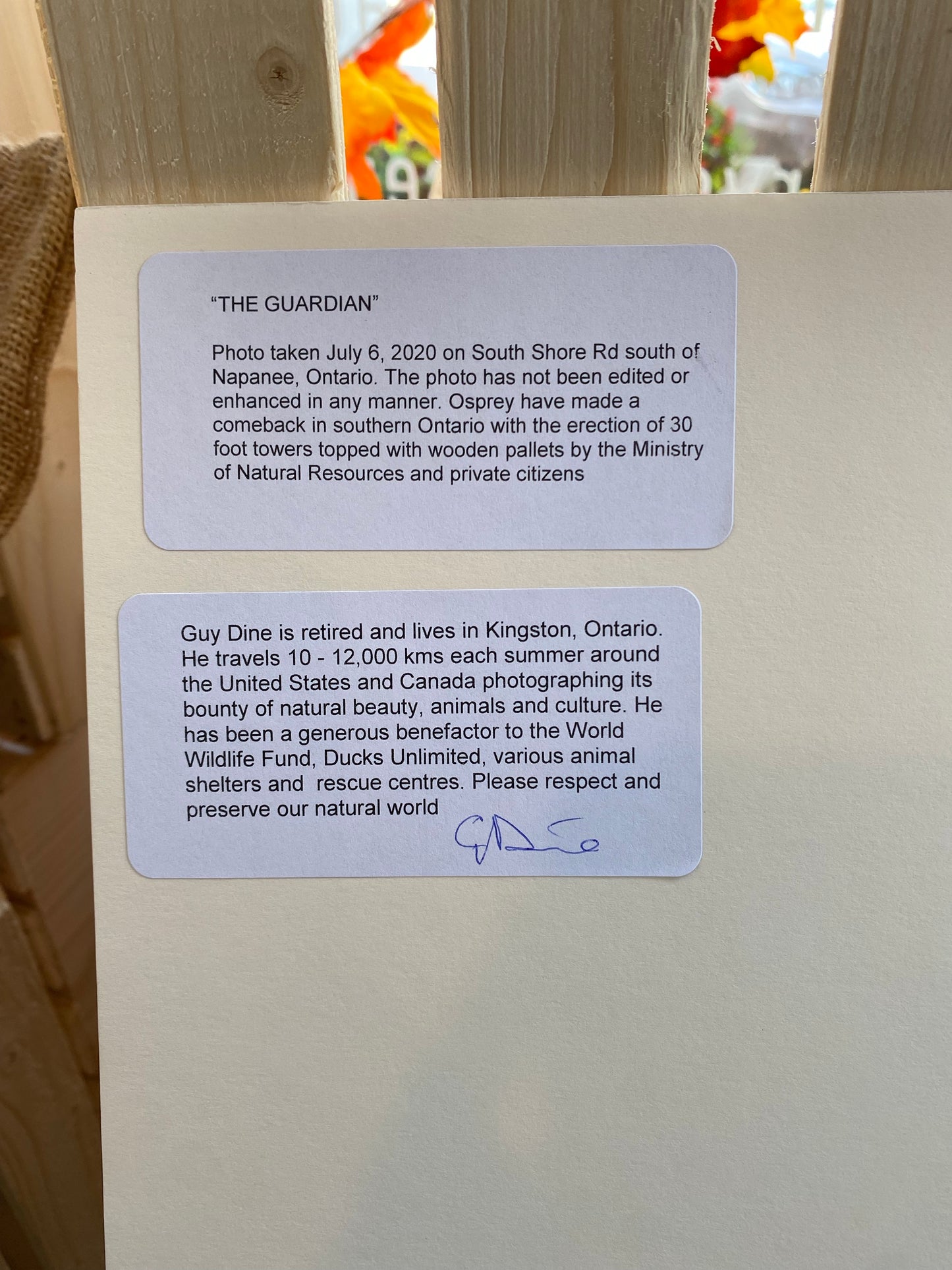 The Guardian - Large 14” x 11”