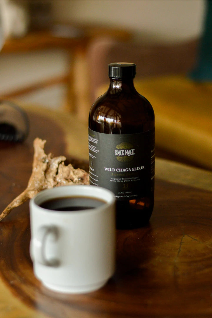 Chaga Mushroom Rootbeer Elixir - Wild Harvested