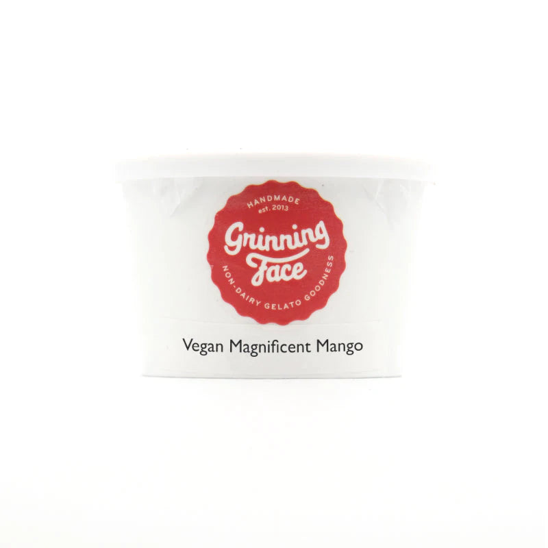 Vegan Magnificent Mango Gelato