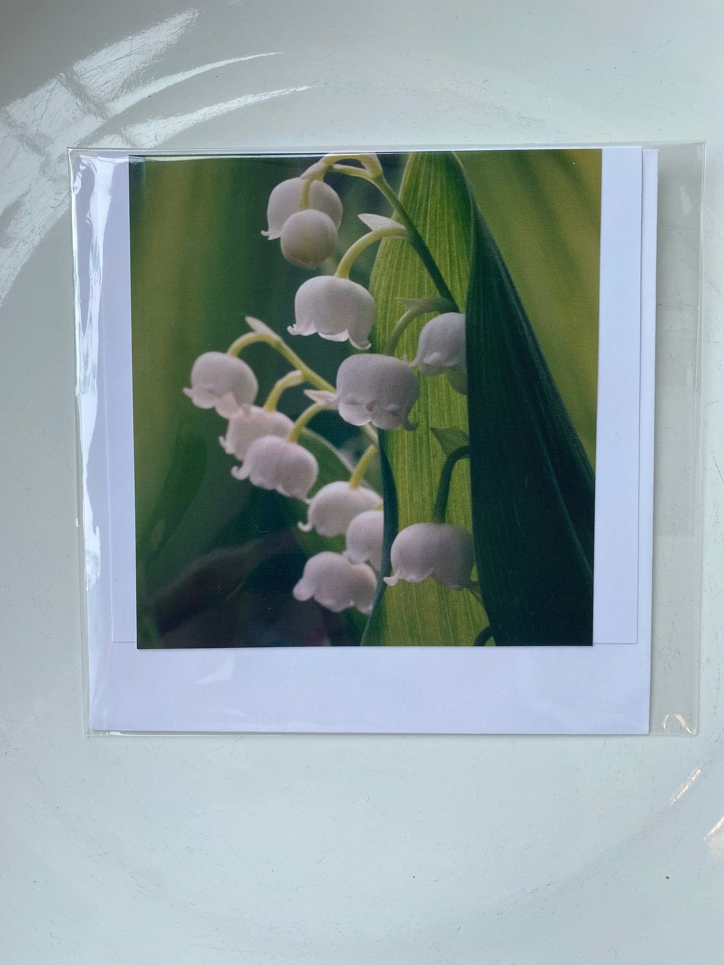 4x4 Cards