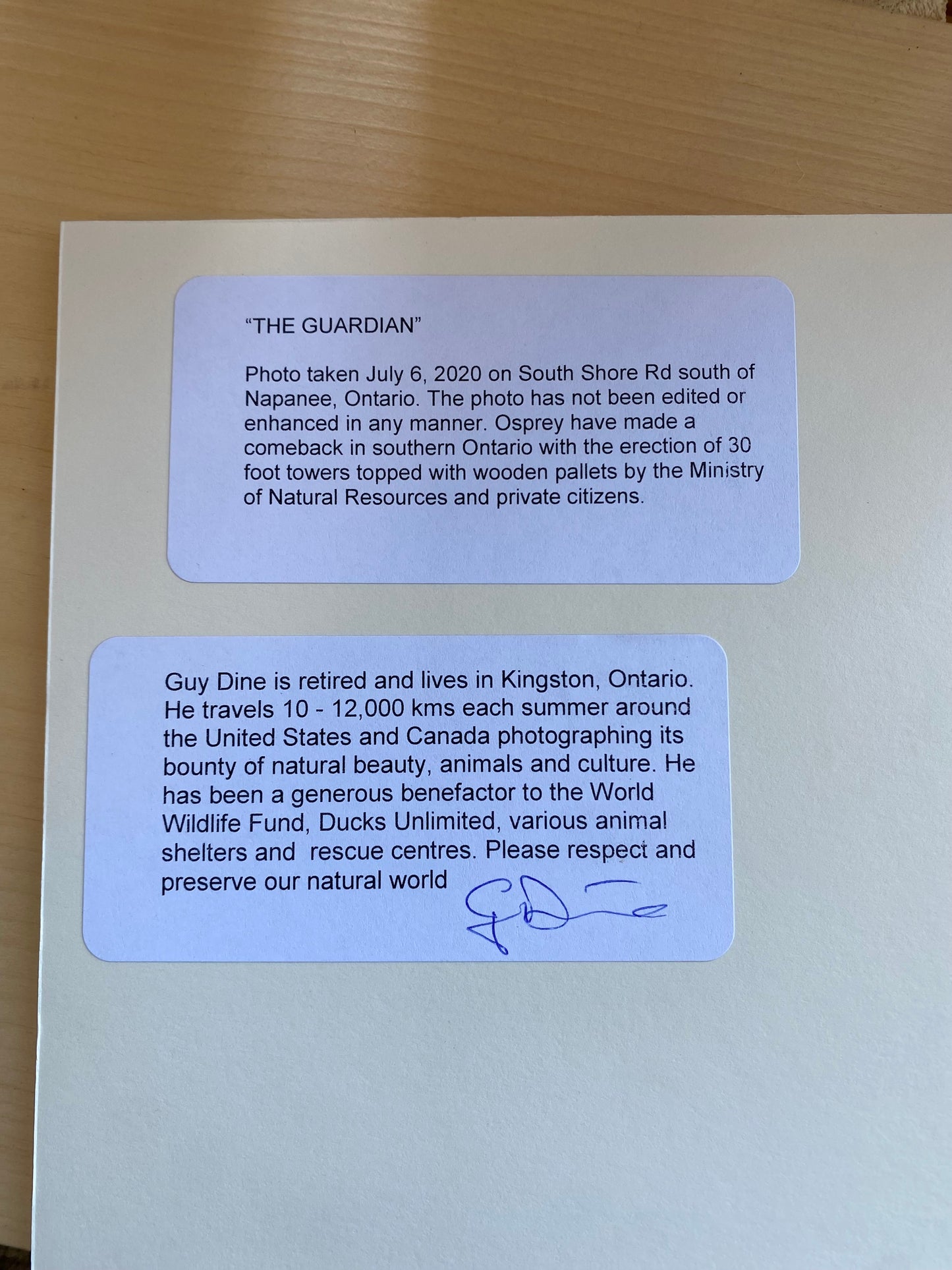 The Guardian - Small 10” x 8”