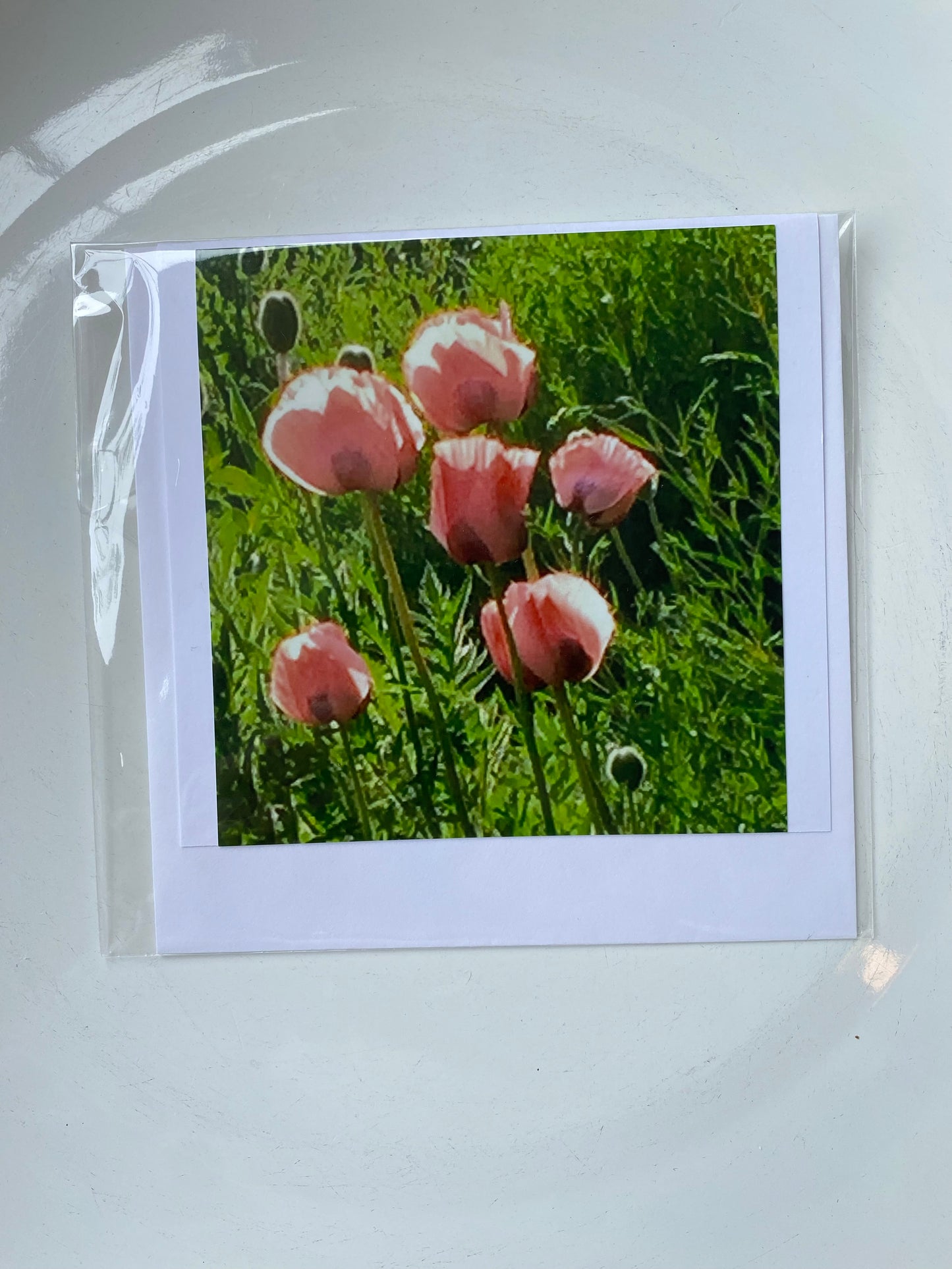 4x4 Cards