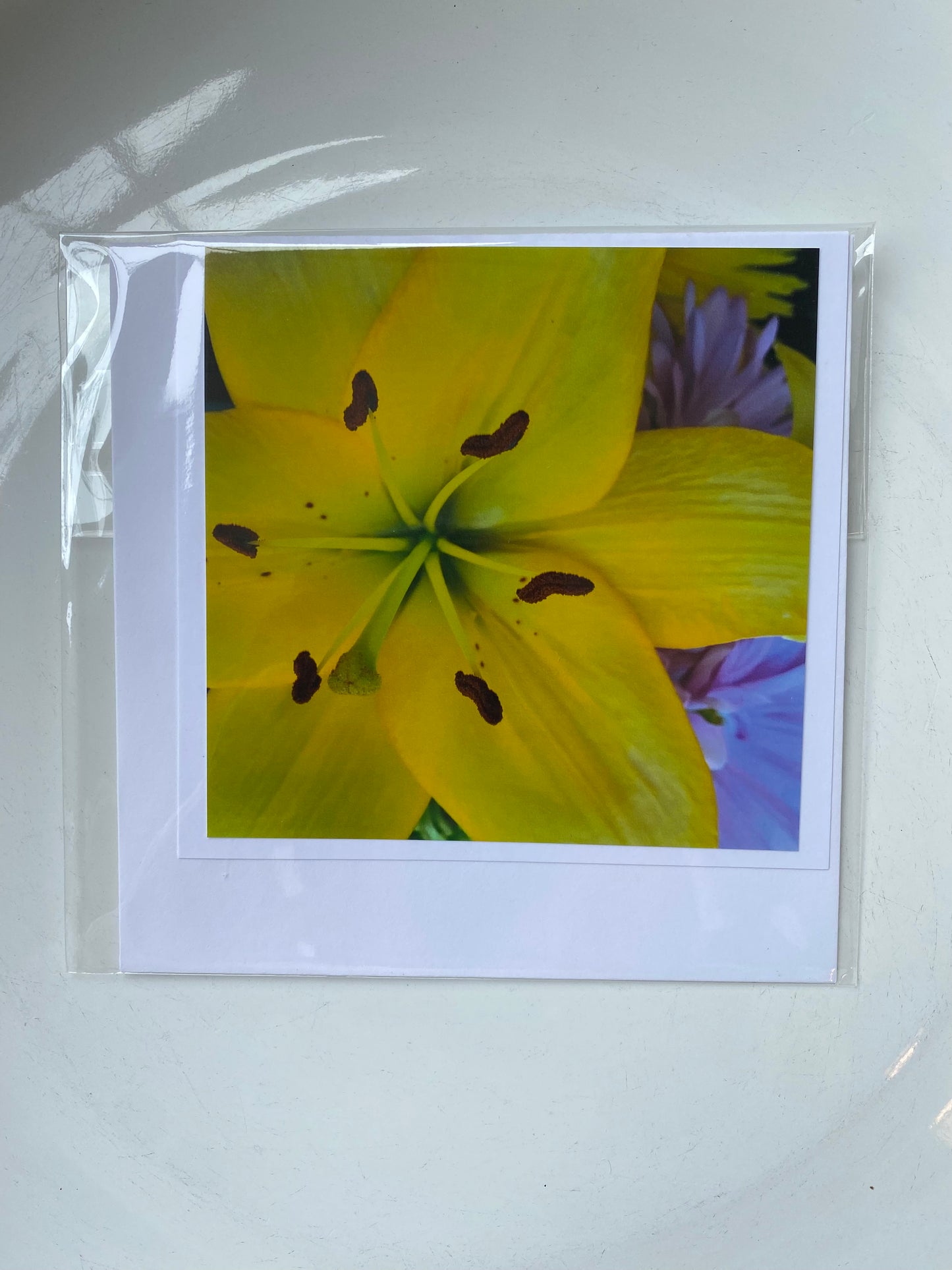 4x4 Cards