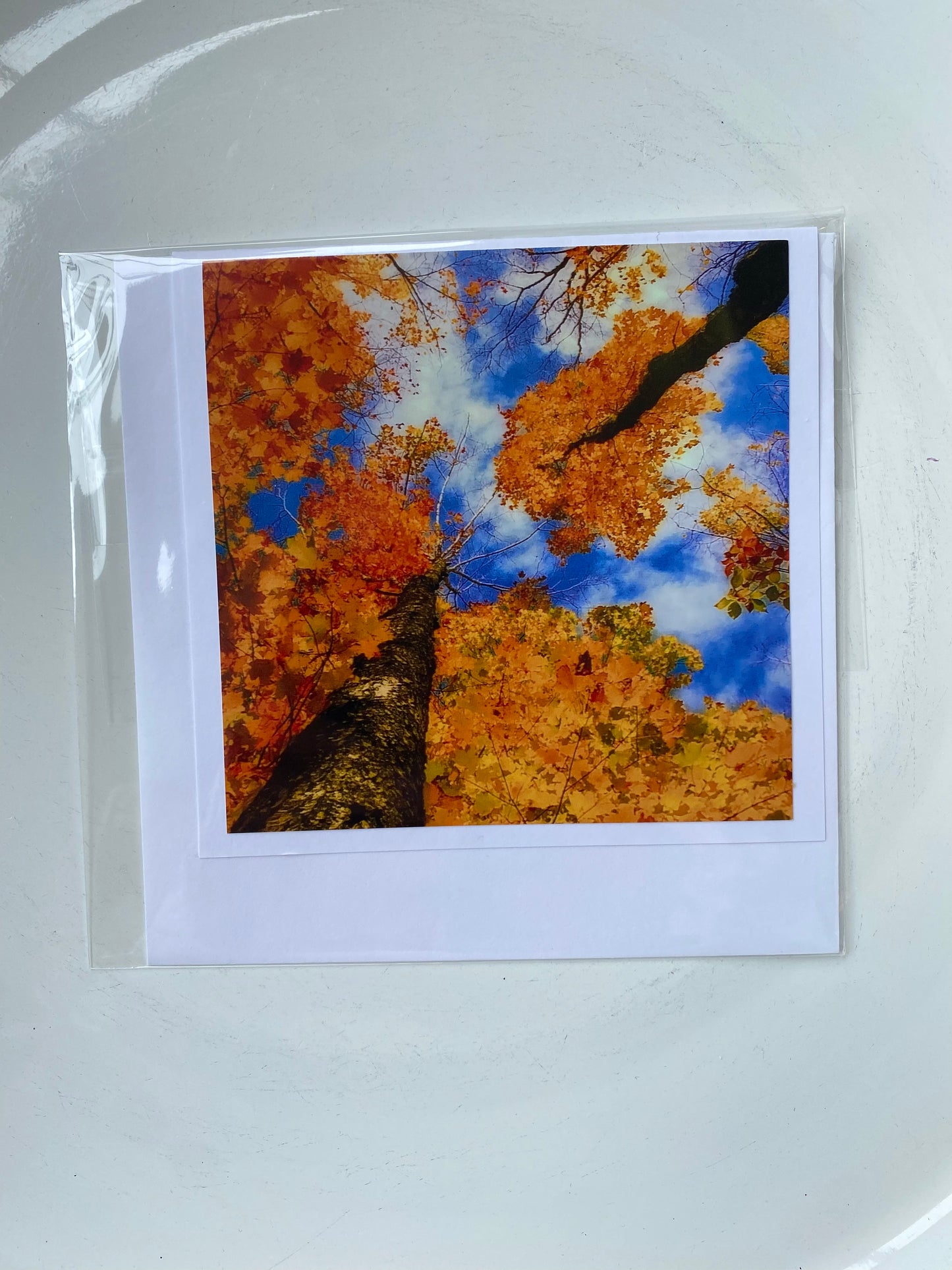 4x4 Cards