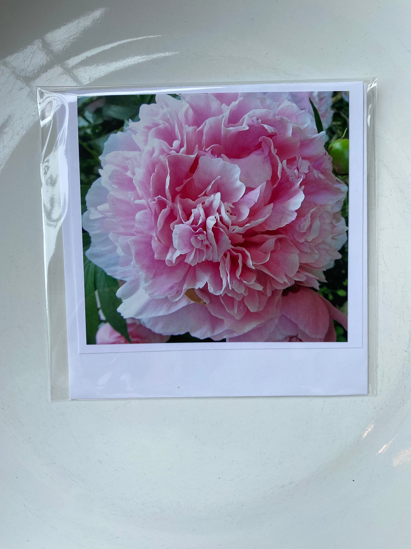 4x4 Cards