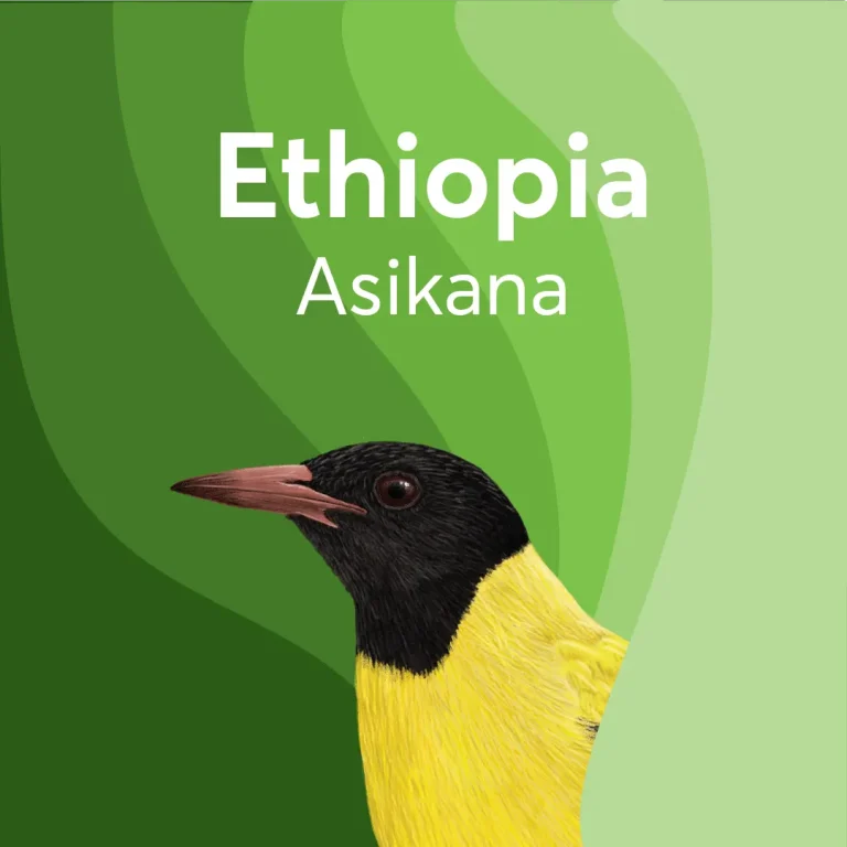 BIRDS & BEANS -Bird Friendly Coffee