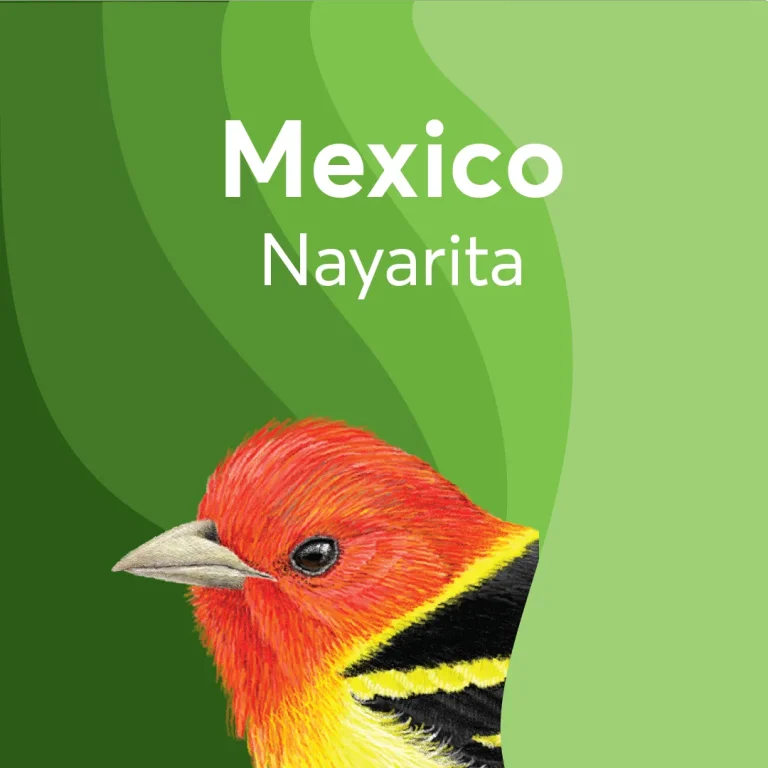 BIRDS & BEANS -Bird Friendly Coffee