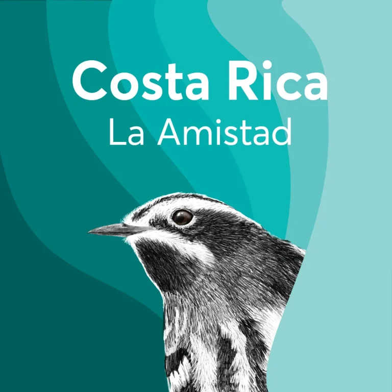 BIRDS & BEANS -Bird Friendly Coffee