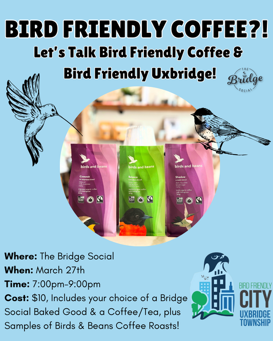 A Bird Friendly Evening! (Scroll down for info!)