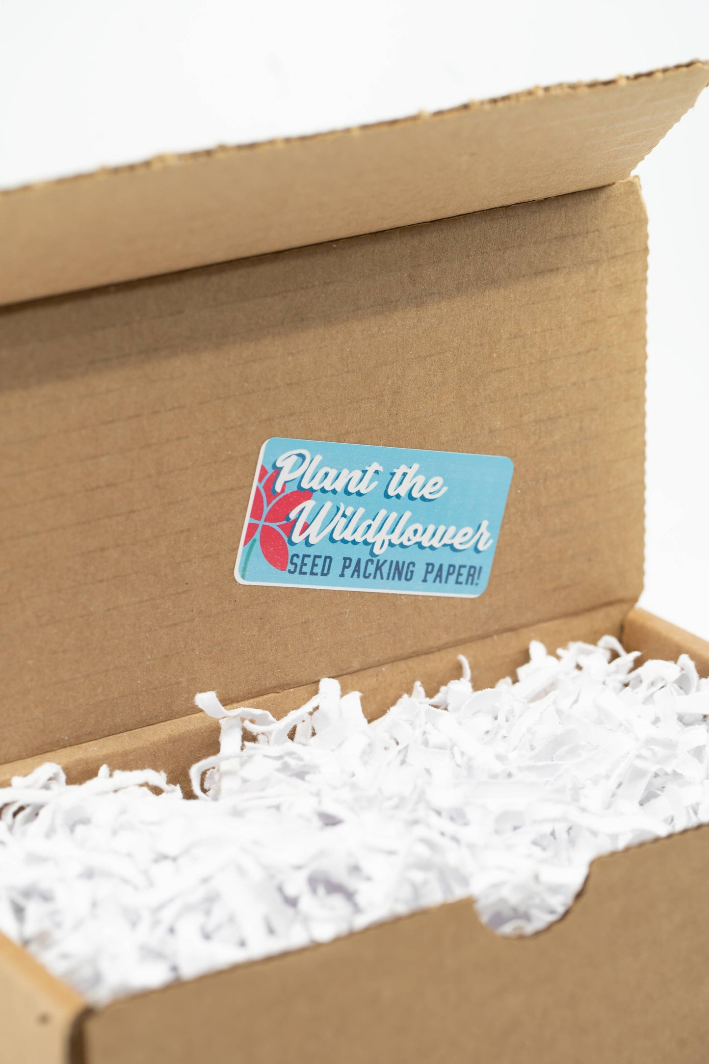 Earthy Good DIY Bath Bomb Kit (Adults)