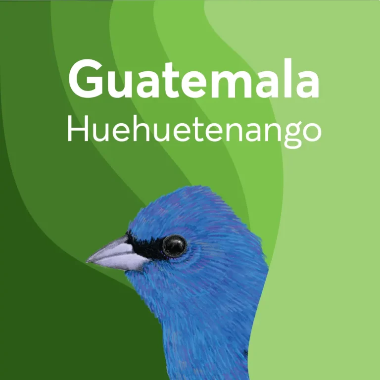 BIRDS & BEANS -Bird Friendly Coffee