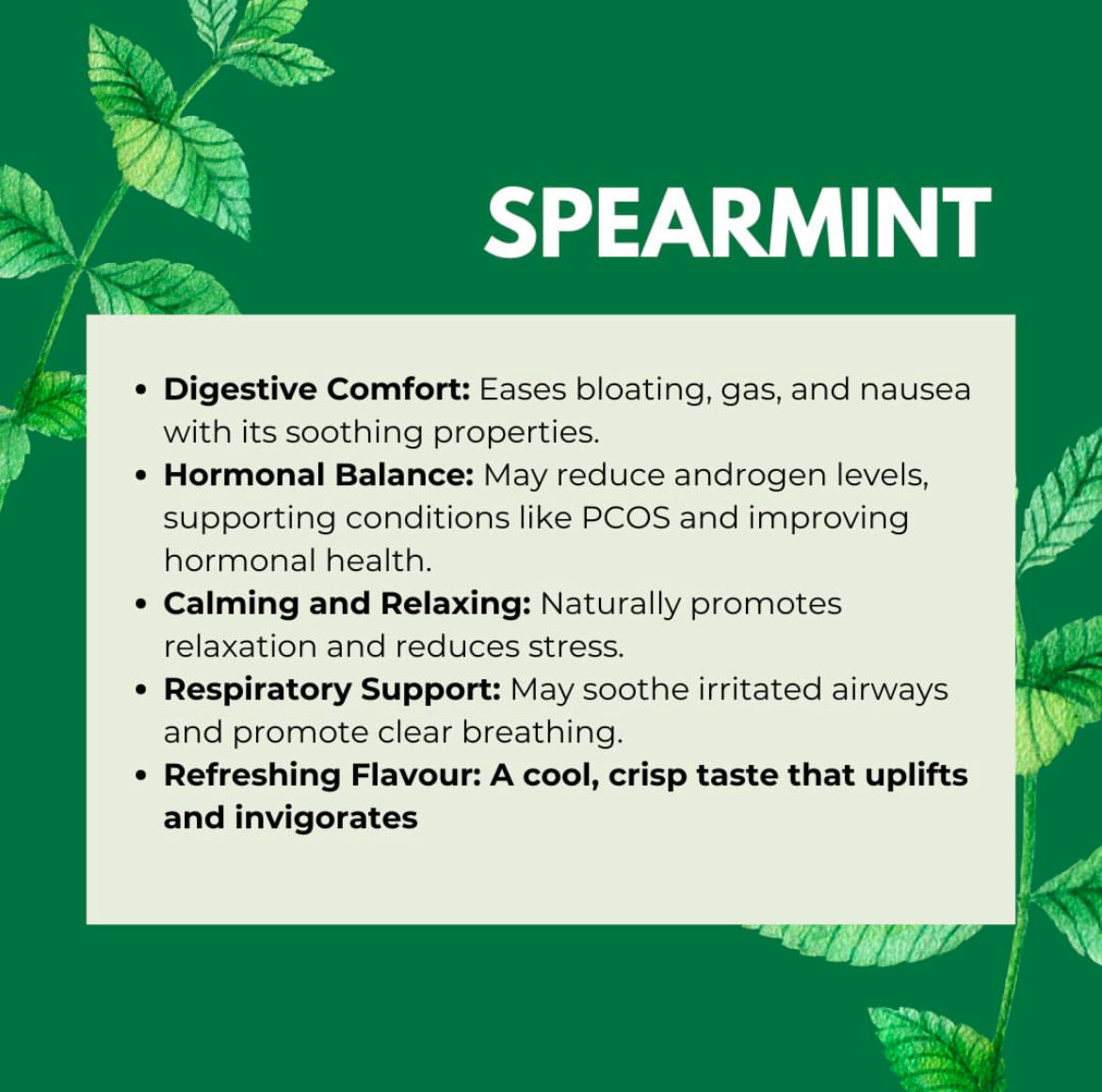 SPEARMINT HERBAL TEA