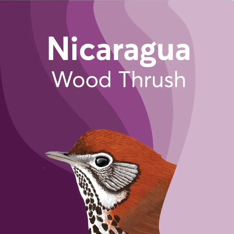 BIRDS & BEANS -Bird Friendly Coffee
