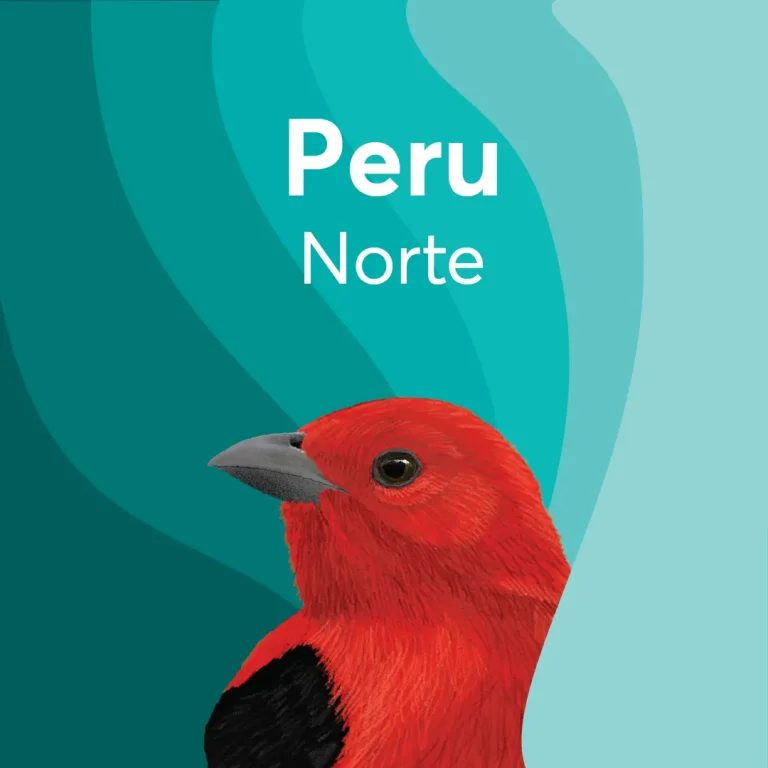 BIRDS & BEANS -Bird Friendly Coffee