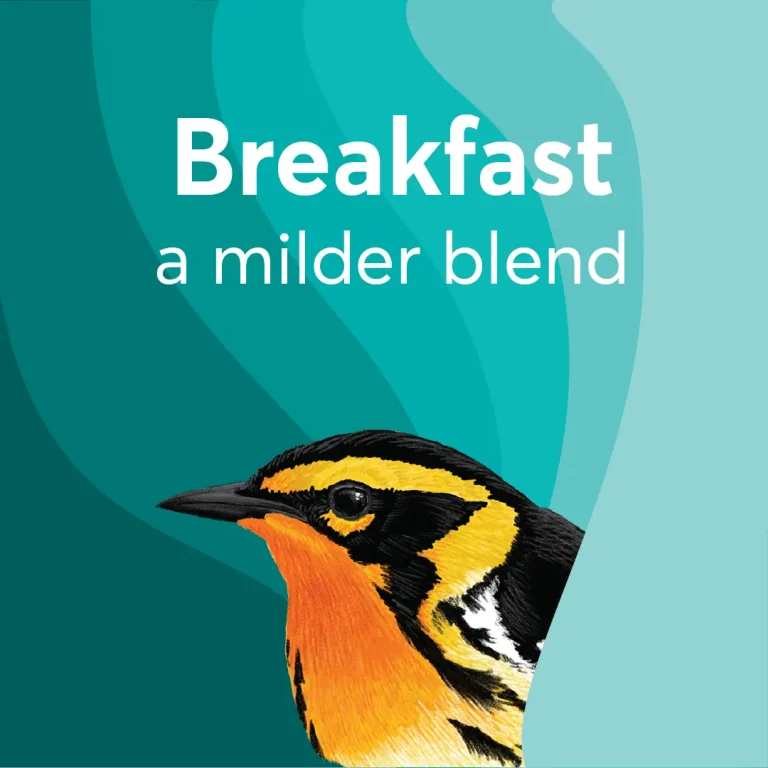 BIRDS & BEANS -Bird Friendly Coffee