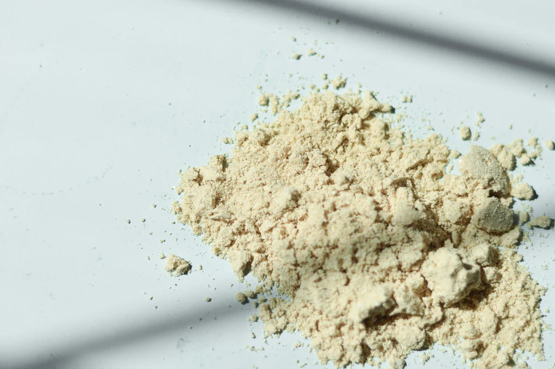 Cosmic Creamer: Lion's Mane Mushroom - Madagascar Vanilla