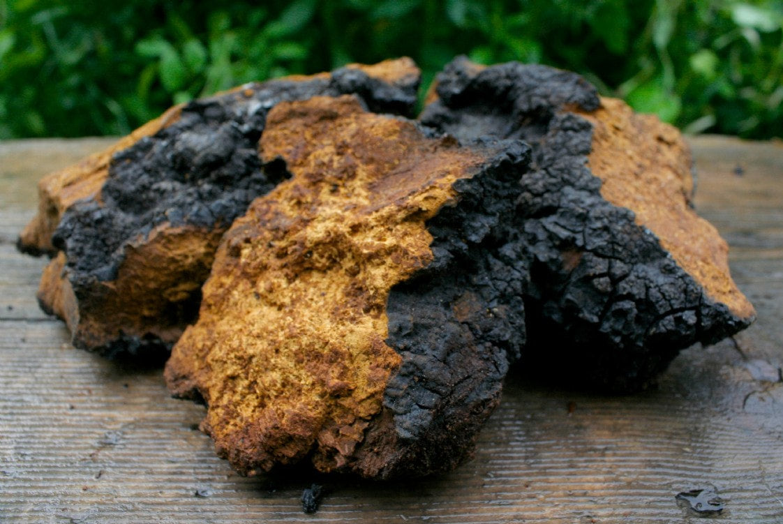 Let's talk CHAGA!