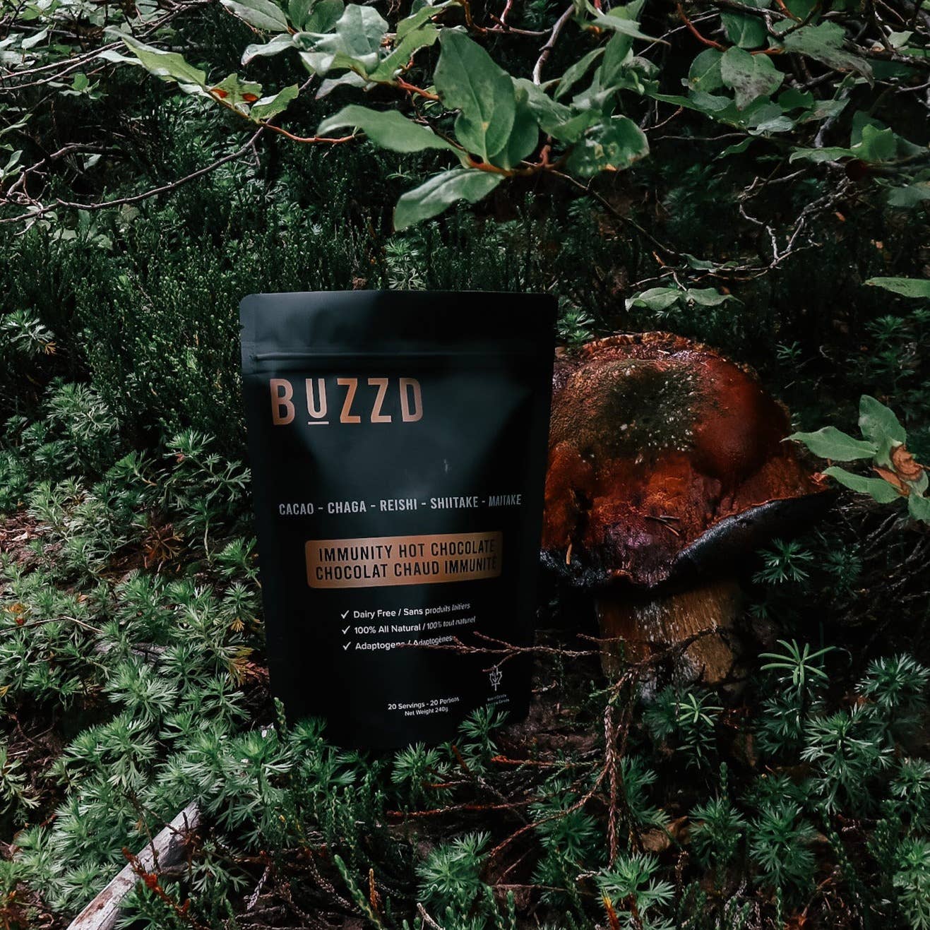 Immunity Hot Chocolate - CHAGA REISHI SHIITAKE MAITAKE