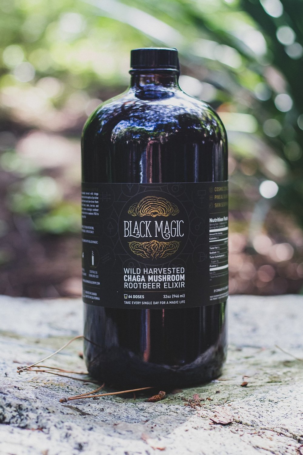 Chaga Mushroom Rootbeer Elixir - Wild Harvested