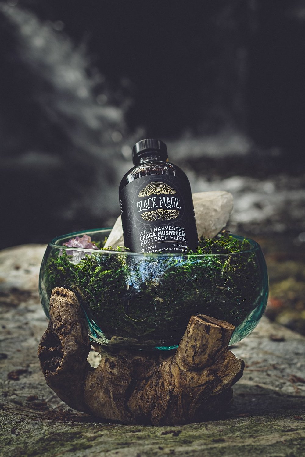 Chaga Mushroom Rootbeer Elixir - Wild Harvested