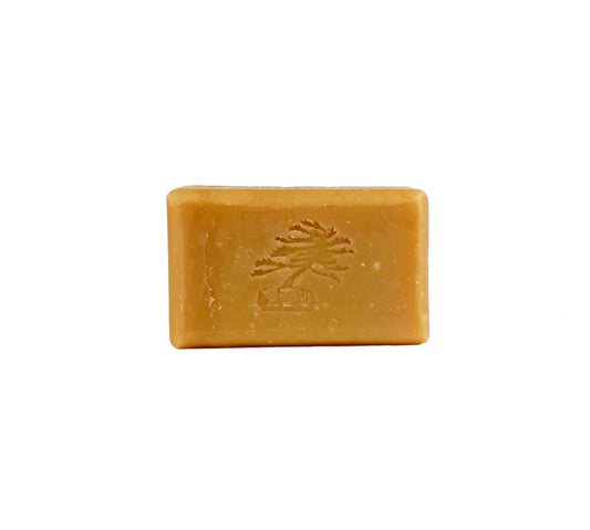 Cedar & Saffron Bar Soap