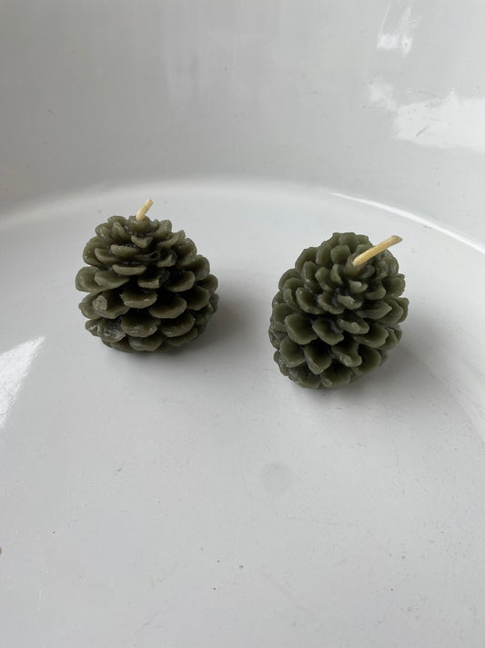 BEES WAX CANDLES - Pinecones