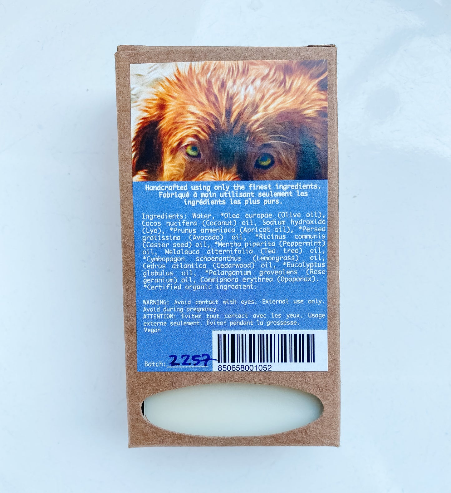 Puddle Jumping Dog Shampoo Bar